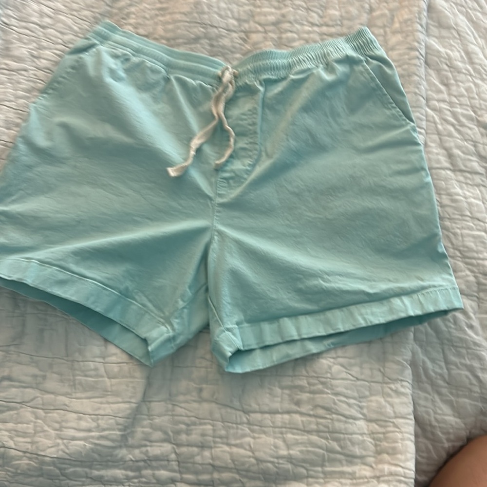 Chubbies light blue 5.5 inch men’s shorts